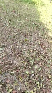 شغل درجه اولى سيراميك ولبخ جرارة وسقل ونثر وبورك التزام باالموعد (٠٧٨٠...