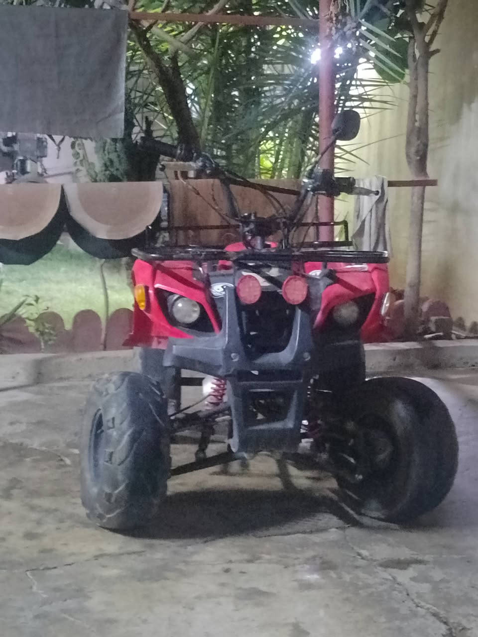 درجة رباعية حجم وسط نضافة85%السعر400الف او مروس حسب القناعةاو إذا اكوماكس عادلة بعد احسن


**إذا كنت صاحب هذا الإعلان وتريد حذفه لأي سبب، رجاءا أرسل رسالة إلى الدعم الفني**