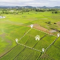 علويه شريفه • قطعة ٢٠٠م • طابو زراعي