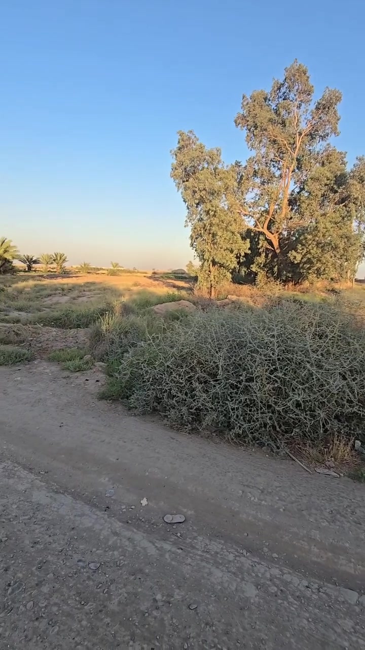 للبيع
دونم ونصف طابو صرف تحويل ثاني يوم طريق جبله قرب المعسكر متوفرة جميع الخدمات للتواصل 
***********/ ***********
