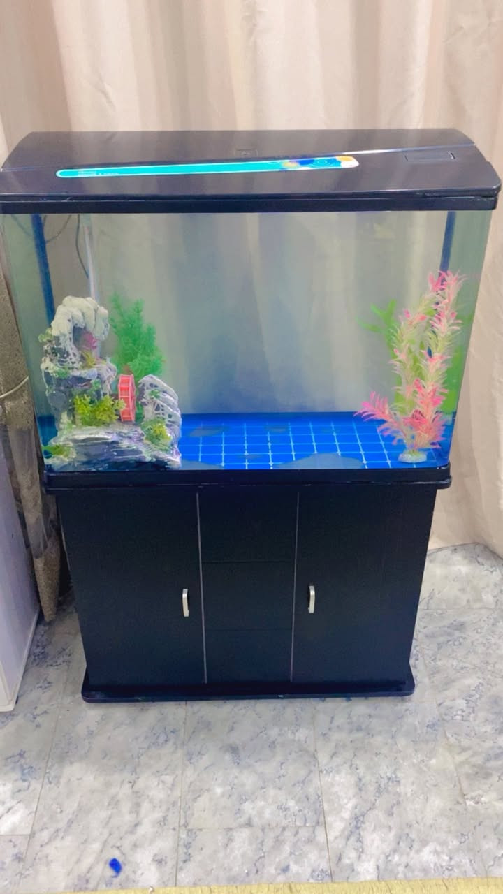 سلام عليكم شباب حوض 80 سم 
فول نظافة جاهز من كلشي 
فلتر// هيتر// جهاز اوكسجين// ديكور // ديباج
للبيع مكان السيدية تفاصيل اكثر خاص او الاتصال ***********
