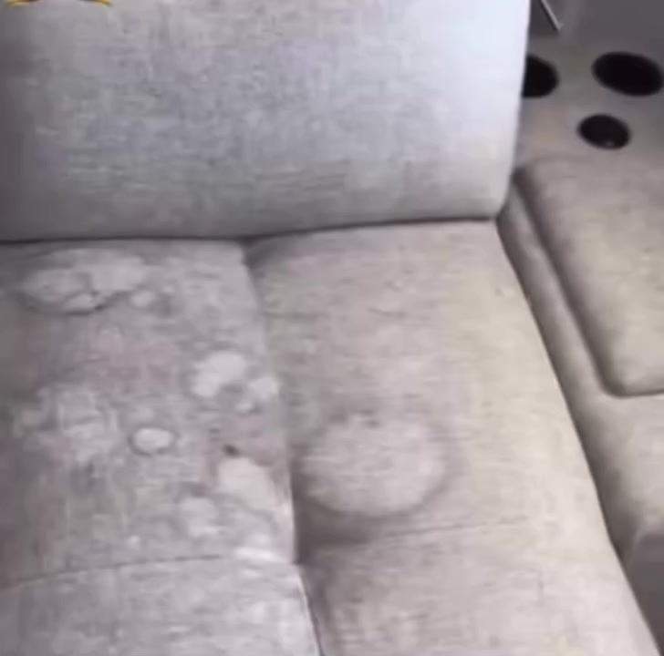 شركة الامير لخدمات التنظيف 
فرع 
مكوى الامير الحديث 
للغسيل الجاف 
تنظيف الموقعي 
من ساعة ٨ صباحآ الى ساعة ١٢ ليلا 
لبس لدينا فرع اخر في الزعفرانية 
 العنوان 
بغداد الزعفرانية مدخل شارع الكهرباء ١٠٠٠ متر عند المدخل 
هاتف الخدمات 
***********٧
