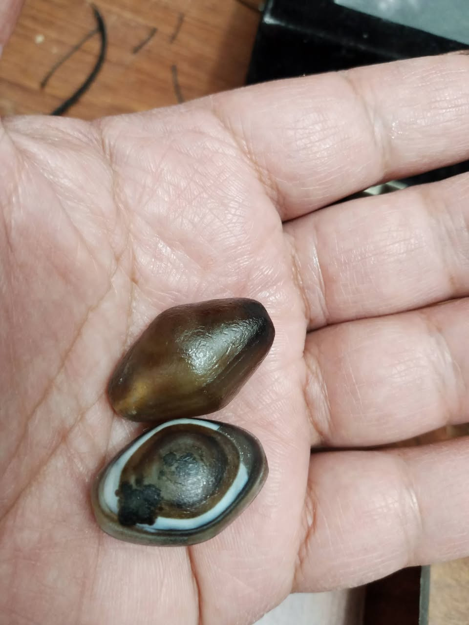 جزع طبيعي سعر الزوج ٥٠ ألف دينار


**إذا كنت صاحب هذا الإعلان وتريد حذفه لأي سبب، رجاءا أرسل رسالة إلى الدعم الفني**