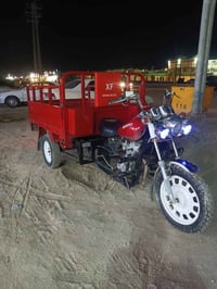 ستوته • مديل ١٥ • اوراق