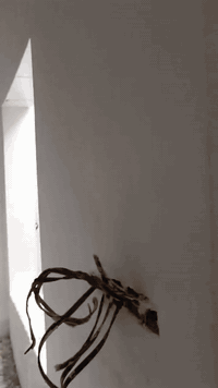 لباخ متفرغ جص بورك سمنت


**إذا كنت صاحب هذا الإعلان وتريد حذفه لأي سبب، رجاءا أرسل رسالة إلى الدعم الفني**