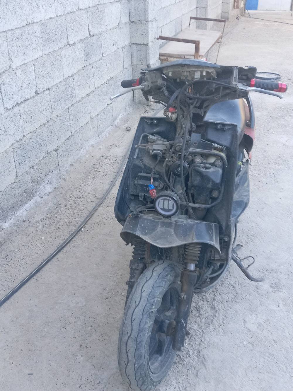 بغداد بوب الشام سكنس فحل 