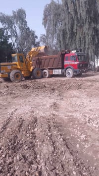 البي البيع معه سياره صغيره البيع بس راس او بس عربانه  07801567093