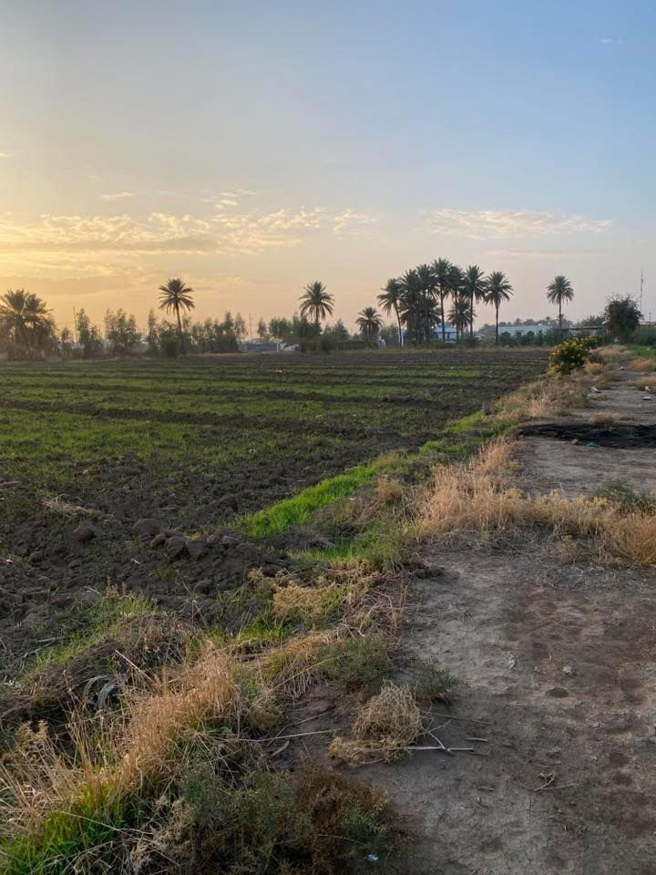 للبيع: أرض بموقع استراتيجي مثالي لبناء الجملونات والمخازن والشاليهات
الرضوانية - الشارع الموازي للسريع الدولي (قرب معمل زينب وشركة الحبوب والشاليهات الجديدة).
تقع في منطقة حيوية بالقرب من ساحة التبادل التجاري الجديدة 
 ومنطقة جملونات حديثة.
المساحة: 2 دونم (ملك صرف).
الأبعاد: واجهة 38م × نزال 130م.
السعر: 125 مليون للدونم الواحد وبي مجال ان شاءالله 
*********** | ***********

