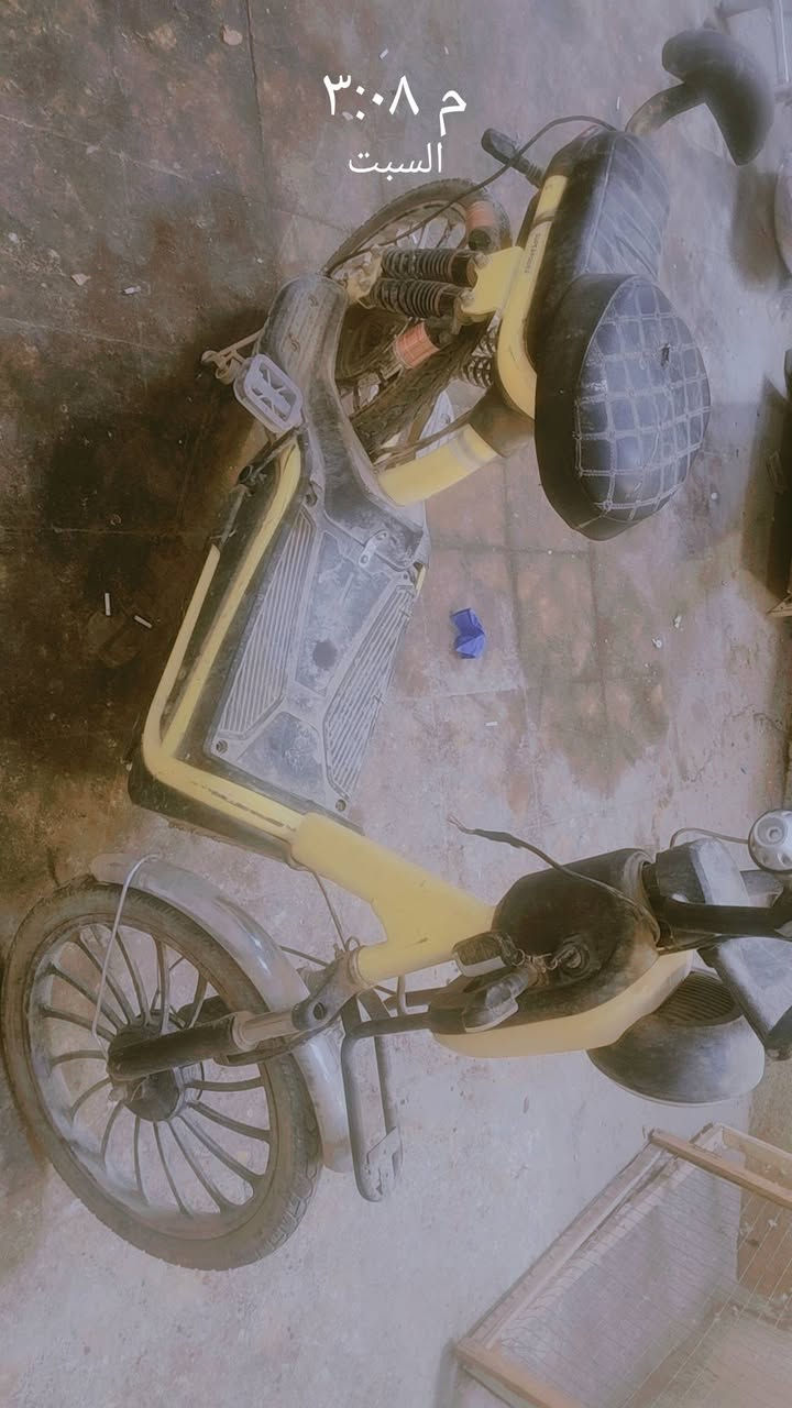 السلام عليكم عيني هاذه للبيع نقصه بس حساس الويل ليريد بخدمته هاذه رقمي *********** ولخاص مفتوح
