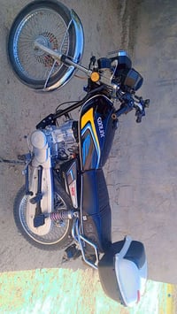 موديل 2024 • أوراق أصلية • بابل شوملي