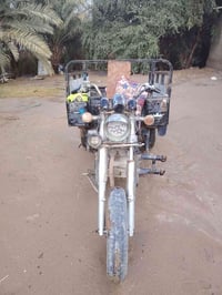 ستوته • ٢٠١٤ • اصولي