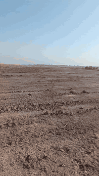 اللهم صلي على محمد والي محمد ارض للبيع المساحه 15دونم كربلاء طريق نجف كربلاء قرب الرابط مقابيل كراج العتبه قرب جامعة الزهراوي عامود 1141سايد الدخول الى كربلاء خلف المواكب والحسينيات تبعد عن الشارع الرئيسي كربلاء نجف اقل الكيلو تصلح معمل سكن مجمع طابو سند 25فتح بيان مداور كافة الاسهم للتواصل, ***********
