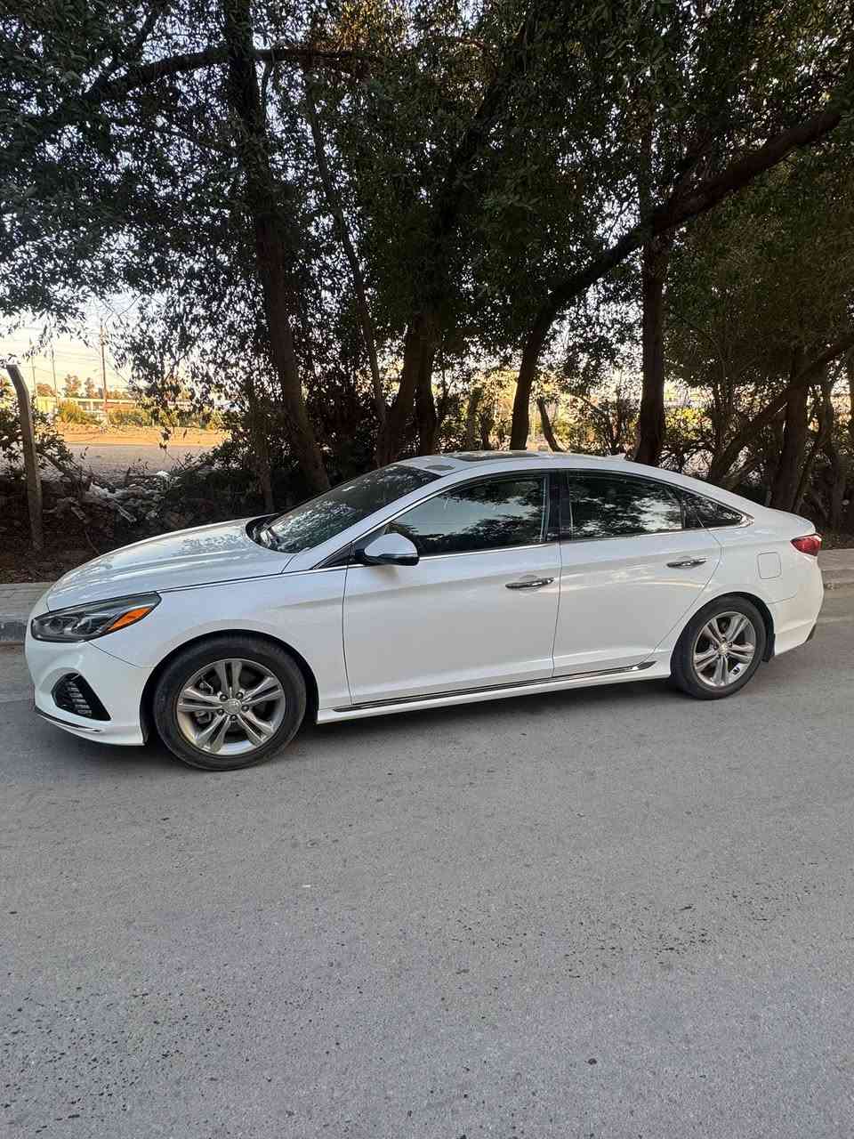 للبيع سوناتا 2018 وارد امريكي حادث بنيد فقط ارباك ستيرن صور الحادث. والسونار بالمنشور رقم بغداد باسمي
فول مواصفات 
بصمة 
فتحة 
كشنات جلد 
هيتر كشنات 
كامره 
شاشة كبيرة
تبريد خلفي 
كشن كهرباء
شفتات ستيرن 
لايت زنون 
محرك 2400
رادارات 
وباقي المواصفات المعروفة
سيارة جاهزة من كلشي 
السعر 150 وبي مجال 
مكاني نجف‭***********‬‭
