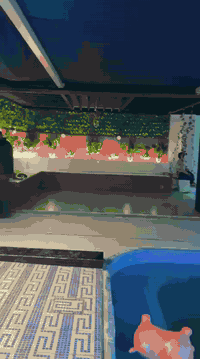 السلام عليكم  📍 بغداد ابو غريب 
يتوفر لدينا حجز مزرعه طيلة ايام الاسبوع 🌴
علماً ان مزرعه موثقه بتطبيق اجرلي
⭕️ يوجد لدينا نظام شفتات
-يبدا الشفت النهاري من الساعة 10 صباحا الى الساعه 6 مساءاً
-يبدا الشفت المسائي من الساعة 8 مساءاً الى الساعة 7 صباحاً
📍للحجز و الاستفسار يرجى الاتصال على الرقم التالي :
***********
