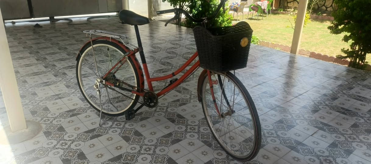 السلام عليكم  بايسكل 🚲🚲🚲للبيع نضيف بريكات فول بايدر زنجيل على تايرات 
ستان كشن فول وسلة السعــر  خاص مستعجل على البيع 🗣🗣
المكان ديالى /العظيم /


**إذا كنت صاحب هذا الإعلان وتريد حذفه لأي سبب، رجاءا أرسل رسالة إلى الدعم الفني**