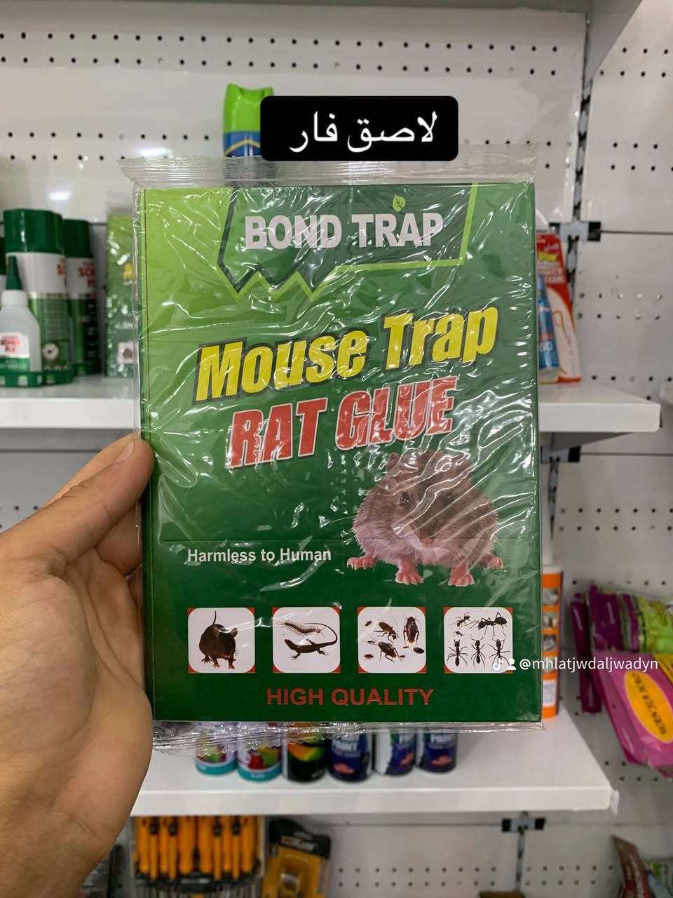 تم بفضل الله تعالى فتح بوت محلات جود الجوادين في بازار ومجمع الغيث رقم البوت 40-#العراق🇮🇶 العنوان -واسط الصويرة قرب فلكة الزعيم مجاور مجمع الكفيل بازار ومجمع الغيث


**إذا كنت صاحب هذا الإعلان وتريد حذفه لأي سبب، رجاءا أرسل رسالة إلى الدعم الفني**