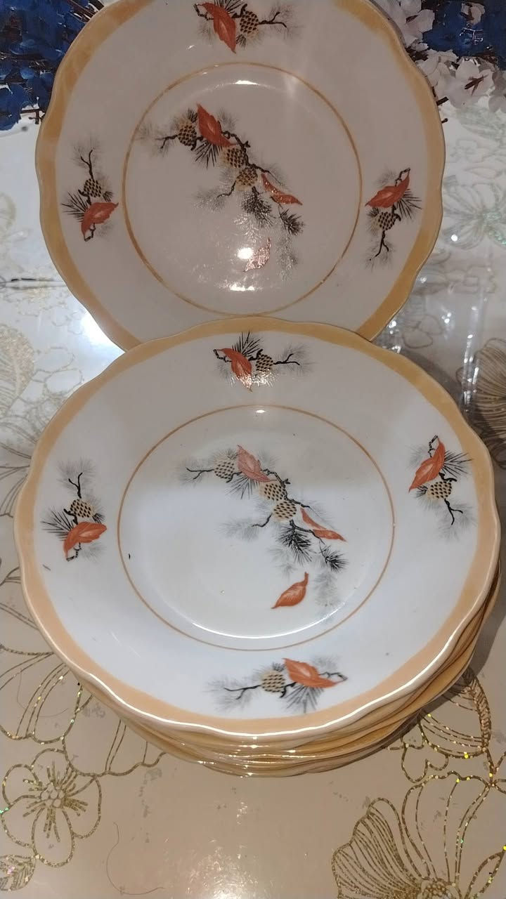 ماعون عمیق قیاس ۱٥ سم نص عدد ۱۲ قطعە یوجد التوصیل


**إذا كنت صاحب هذا الإعلان وتريد حذفه لأي سبب، رجاءا أرسل رسالة إلى الدعم الفني**