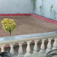 الحمدلله  نشتغل كافت انواع الحدايق واستفسار الإتصال 07708753004