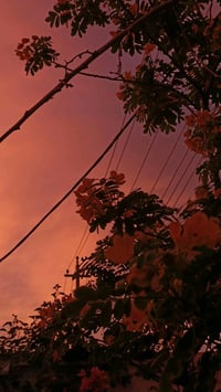 طابو • ٢٠٠م • الزبير