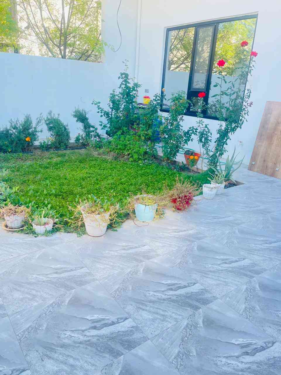 🏘🏘بيت للبيع / ديالى خانقين / حي رمضان خلف المحكمة / فرع مقابل مدرسة صلاح الدين وقريب من الساحة طابو صرف طابق واحد بناء حديث قبل سنة ونص مساحة 300 متر واجهة 10 والنزال 30 
3 غرف نوم واستقبال وصالة داخلية ومطبخ حار وبارد ومجمع صحيات داخلي وخارجي 
وبيتونة وكراج سيارة وحديقة 

علماً البيت ساحبين عليها اسكان . 

السعر / 200 مليون قفل 
دفع 158 مليون لصاحب البيت 
وباقي 42 مليون تدفعها اقساط

للأستفسار اكثر اتصال بالارقام فقط 
***********
***********
مكتب فريا موفق للعقار
