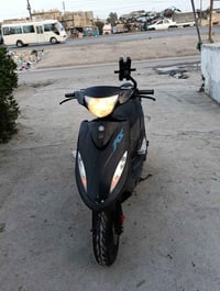 ماكس عدله • اوراقه • كفاله