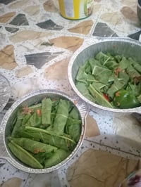 كبه • دولمه • توصيل