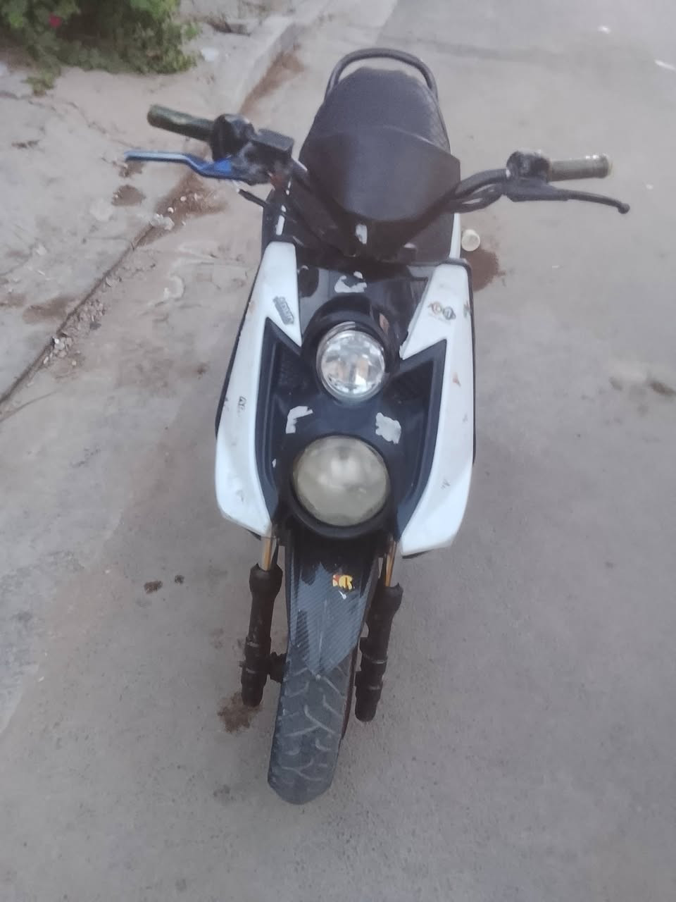 سلام عليكم سكنس جبلي للبيع دراجه مكينه مكفوله كهربأيات كله شغاله اي نقص ما بيه نص نكره بكان الشعب الجمعيات سعره 750 وبيه مجال


**إذا كنت صاحب هذا الإعلان وتريد حذفه لأي سبب، رجاءا أرسل رسالة إلى الدعم الفني**