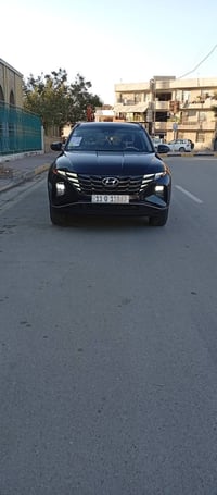 توسان ٢٠٢٣ • نيلي • ماشيه ٣٠٠٠٠