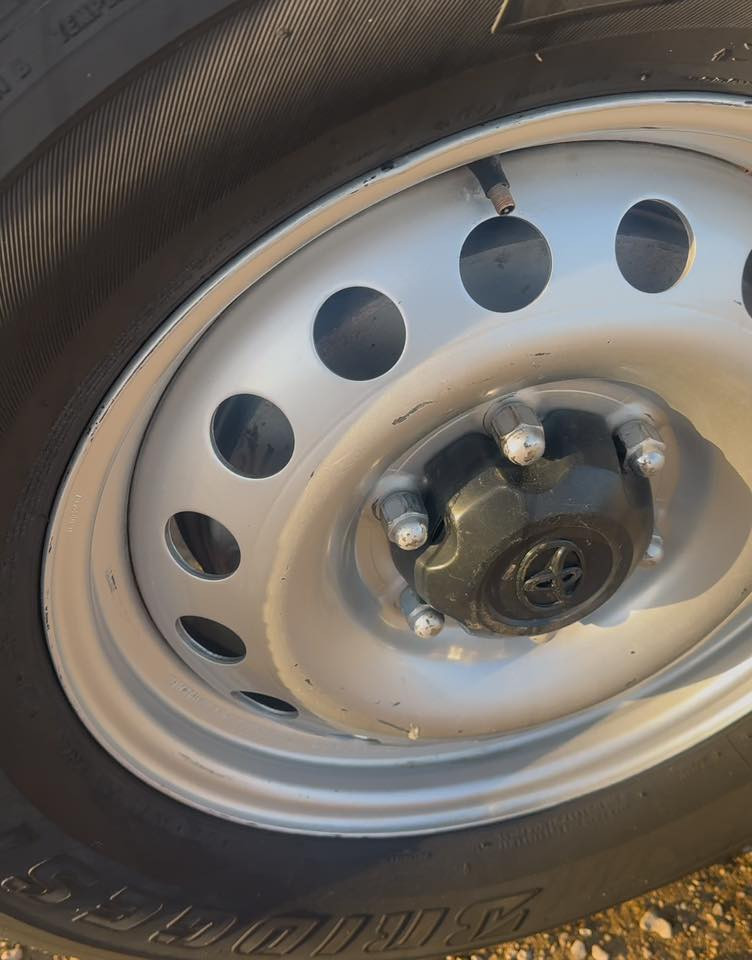 تخم ويل حجم 17 الأصلي موجود بالنجف***********سعر جدا مناسب
