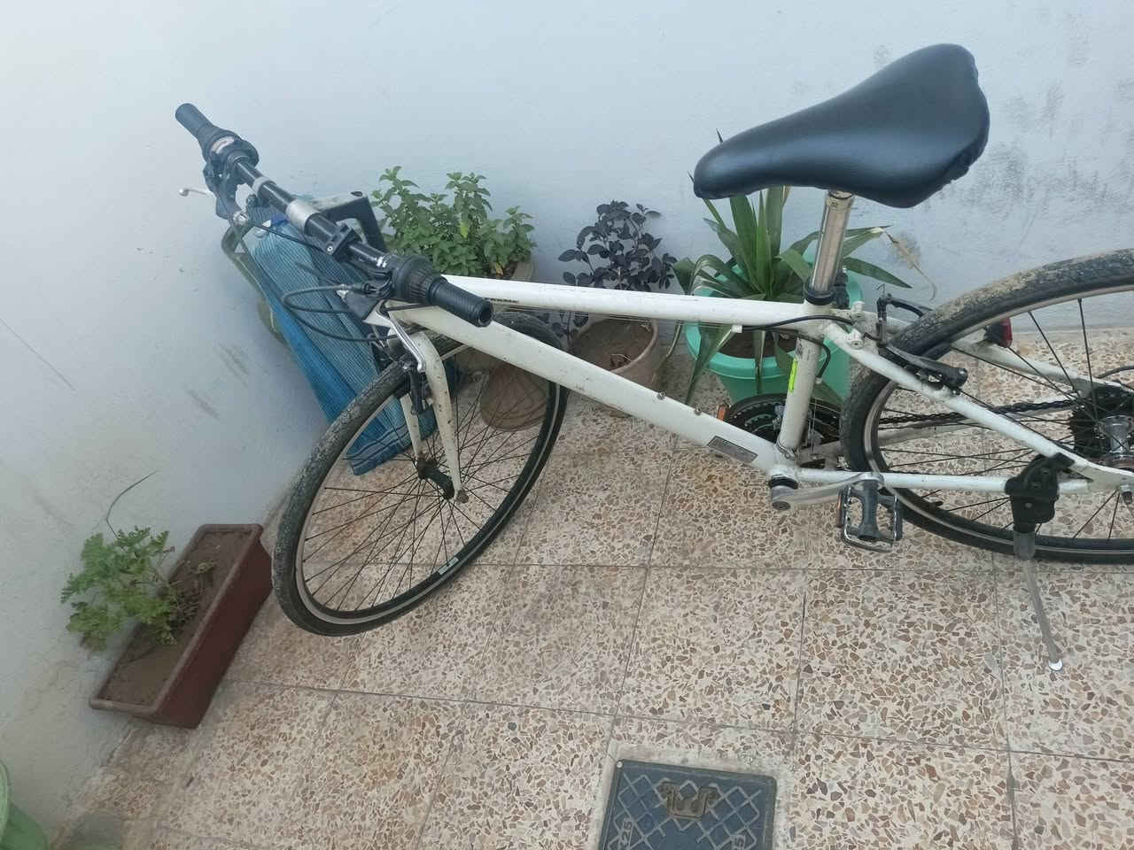 بايسكل c700
الحجم 27
السعر 80


**إذا كنت صاحب هذا الإعلان وتريد حذفه لأي سبب، رجاءا أرسل رسالة إلى الدعم الفني**