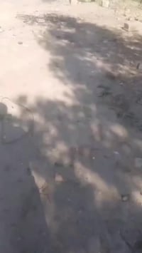 قطع للبيع 250 متر لانواع البرشايده قرب المعمل العارف السعر مالتها ب 15...