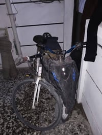 دراجة ستين • عصفور • الغزالية