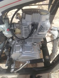 ستوته • ١٦ • ٢٥