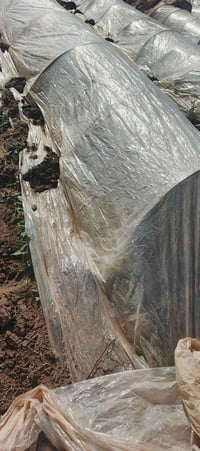 نايلون مقطع • نضيف • خان بني سعد ديالى