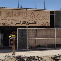 شقيفه • جينكو تسكام • ٤٢٠×٧٤٠