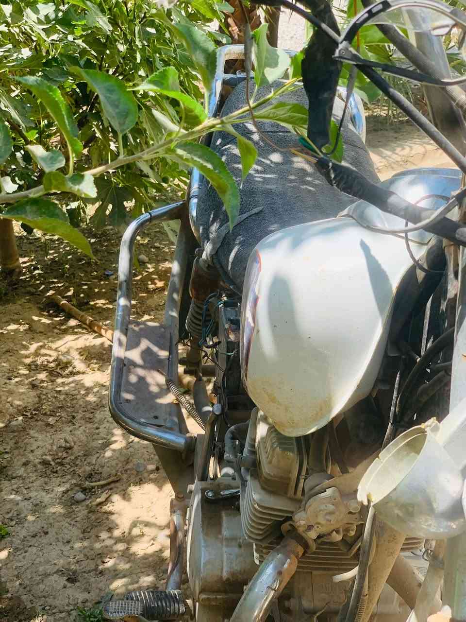 السلام عليكم
موطور جني للبيع شوف العين 
للاستفسار اتصل او راسليني ***********
