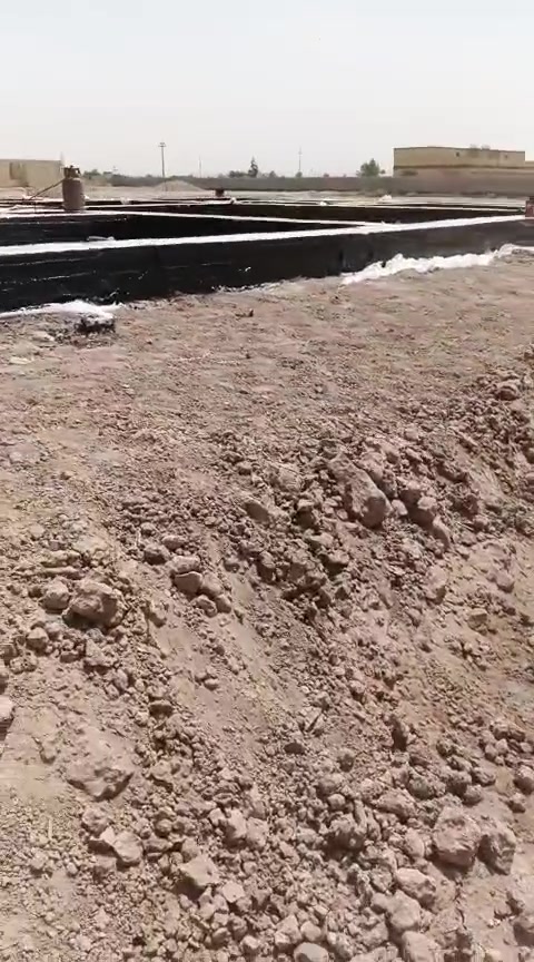 ***********
