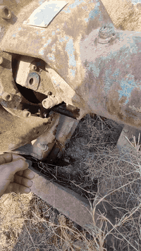 خنزيره براص • نحاس • ٨×٨