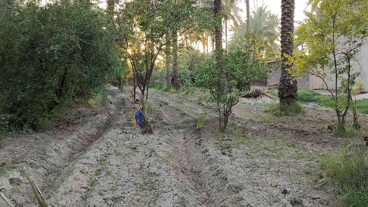 بستان طابو سند 25 تحويل مباشر للمشتري موقع حصوة عون شارع الخطاطبه مساحه دونمين مع بيت مساحه 110 متر سعر البستان 280 مع المجال للمشتري تبعد عن التبليط 600 متر خدمات كامله منطقة سكنيه جميله جدا وسعر ممتاز ومناسب 
***********
