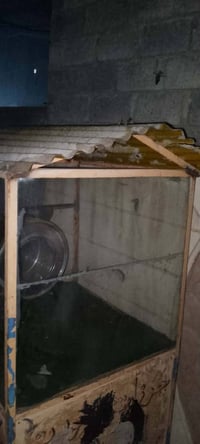 عربانه • كدام العين • سعر مناسب