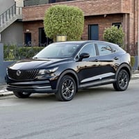 دونغ فنغ • ٢٠٢٣ • ١.٥ تيربو