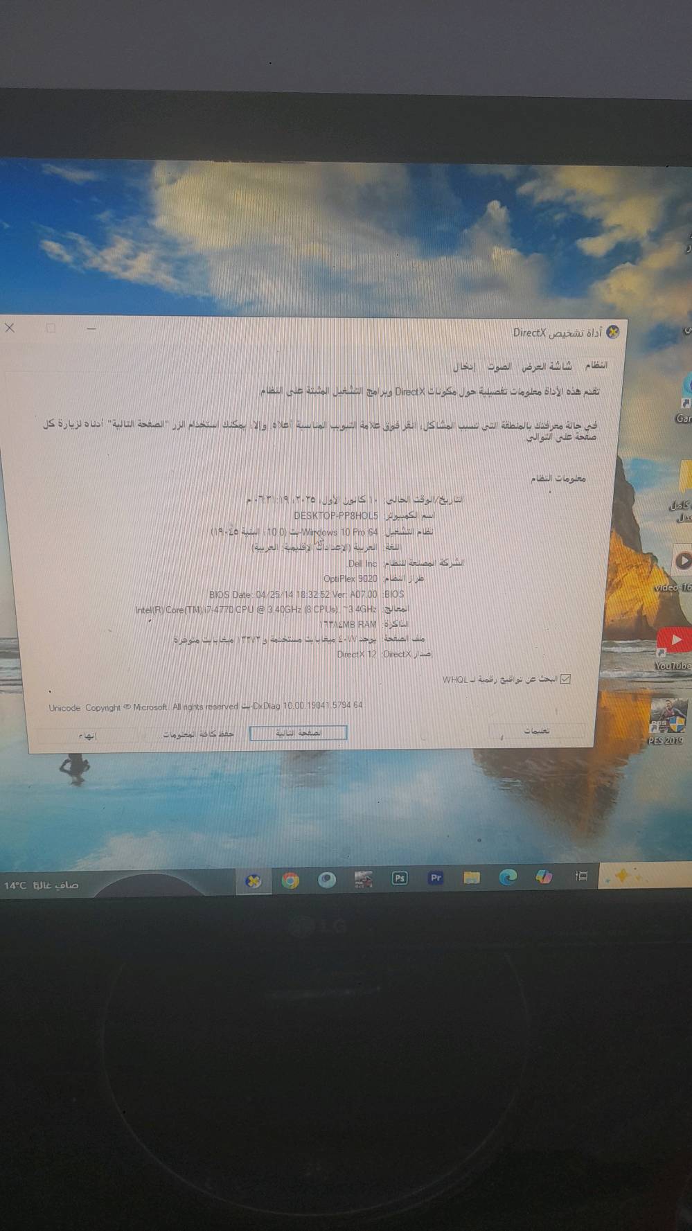 الشعلة السلاميات