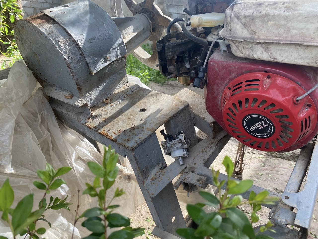 عجانه ام الجيس مكاني لحله الحمزه الغربي 
السعر 100وبيه مجال ابيعه ع وضعه 
***********
