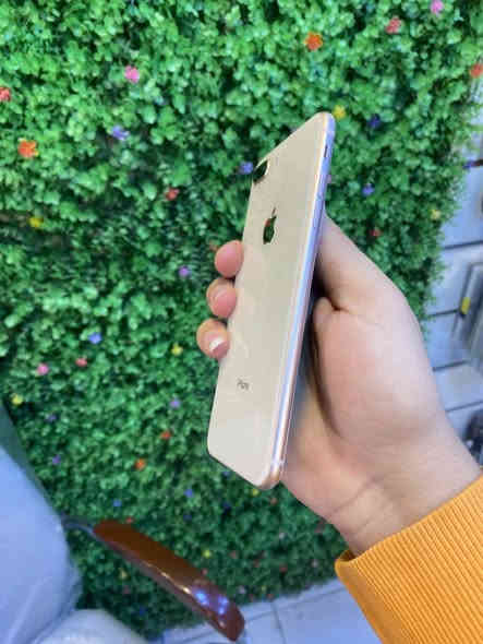 ايفون ايت بلاص 64بطاريه 100جهاز شرق اوسط مكفول من فتح وصيانه وبي ضمان من محل نضافته اذا مو100 مرجوع

السعر 125 الف قفل مكان المحل بغداد شارع حيفا قرب مقها بيروتي مقابل نادي الزوراء الرياضي اسم محل بربرو فون

*********** واتساب فقط
***********اتصال
