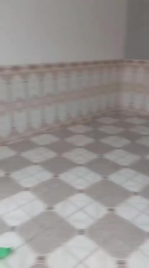 سلام عليكم خوان يتوفر مشتمل الاجار في 6 كيلو سعر 250 ستفسار نتصال برقم ***********
