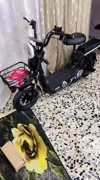 دراجة شحن • جديدة • حي النصر