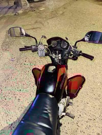 بوكسر • فحل • ٢٠٢٢