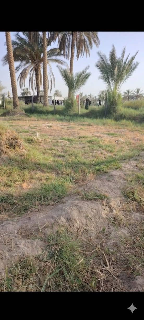 🌴 إعلان قطعة أرض زراعية للبيع – فرصة مميزة

📍 الموقع: أبي غرق – قرب العلوية شريفة، على طريق زوار المشاية، قرب حسينية سيد شاكر.

📐 المساحة: أقل من دونم
📏 الواجهة: 44 متر على الشارع (سنتر)

🌴 مواصفات الأرض:

أرض مربعة الشكل.

مزروعة بأكثر من 35 نخلة مثمرة.

خدمات كاملة متوفرة:

كهرباء

ماء إسالة

ماء سقي

موقع مميز وحيوي.

✨ مناسبة لـ:

بناء سكن خاص.

إنشاء مزرعة ترفيهية أو استراحة عائلية.

مشروع استثماري صغير.

📜 السند: 25 مداور جديد.

💰 السعر مميز جداً مقارنة بالموقع والمواصفات.

📞 للاستفسار والمعاينة يرجى الاتصال على الارقام التاليه 
***********
***********

اغتنم الفرصة لامتلاك أرض بموقع استراتيجي وخدمات متكاملة، مناسبة للسكن والاستثمار والترفيه. 🌴🏡✨ حلة, بابل
