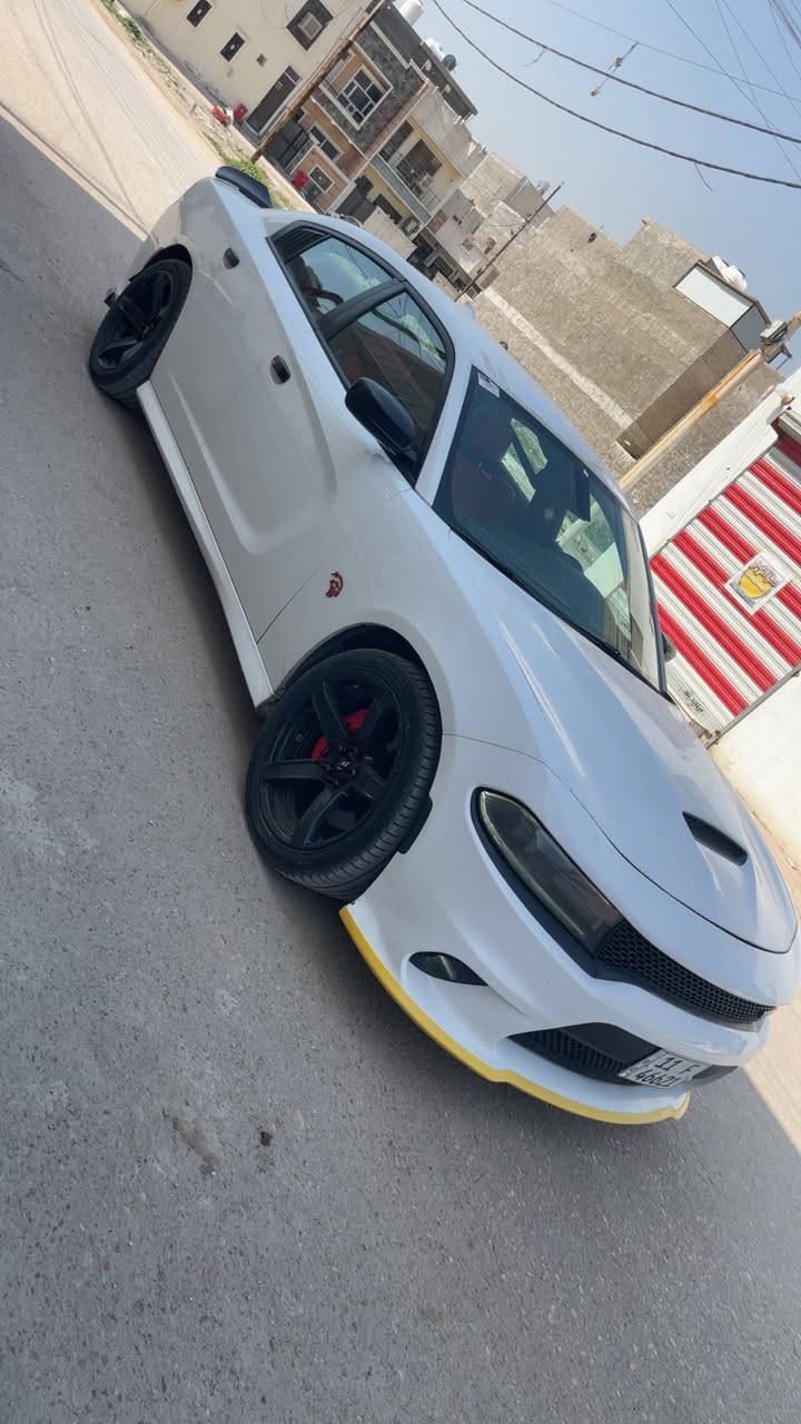 يالله جاجر Rt 2019 اصل رقم بغداد هزة جديدة ماشية 86 الف اخوان سيارة كلين طابة وهنا بالعراق انطغ بنيد 3 اصابع ونصبغ شوية منة مو كلة بدون ايرباك ولا شاصي ولا لغد صور امريكا بالمنشور وصور طخة هم بالصور قبل لا اسويهة سيارة جديدة بالجيس شرط زيرو من كلشي سيارة ستوك شركة لا ملعوب بصالنصات ولا ملعوب بحجرات السعر 217 ورقة مكانهة بغداد للأتصال اخوان لحد ايطبلي خاص مكلف بالنشر وهاذة رقم ولد ***********
