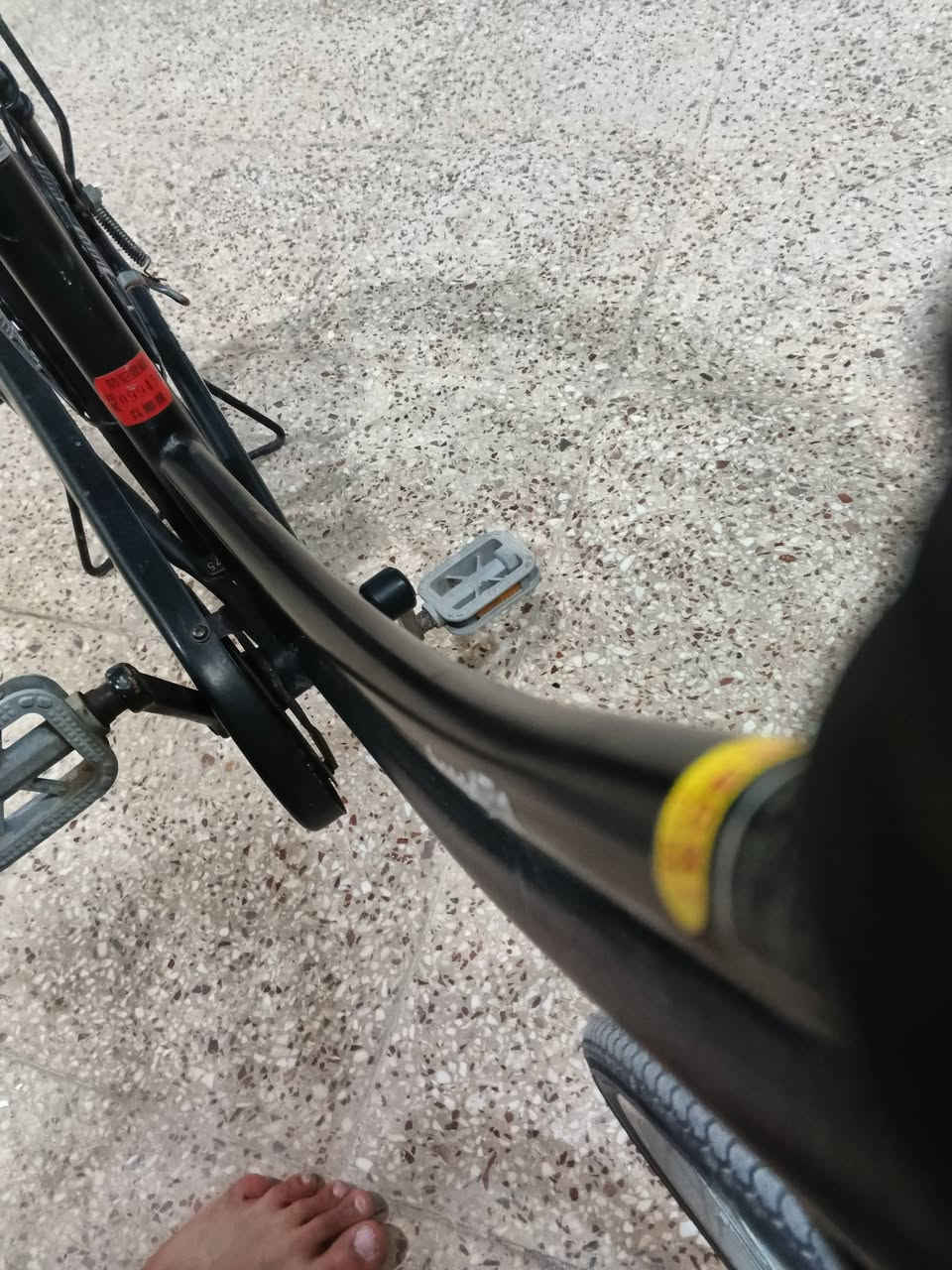 سلام عليكم الباسكل للبيع فقط مديل 21 غراضه كامله سعر خاص ملاحظه انته تجي مكان شارع بيتي الاستفسار بالواتساب ***********
